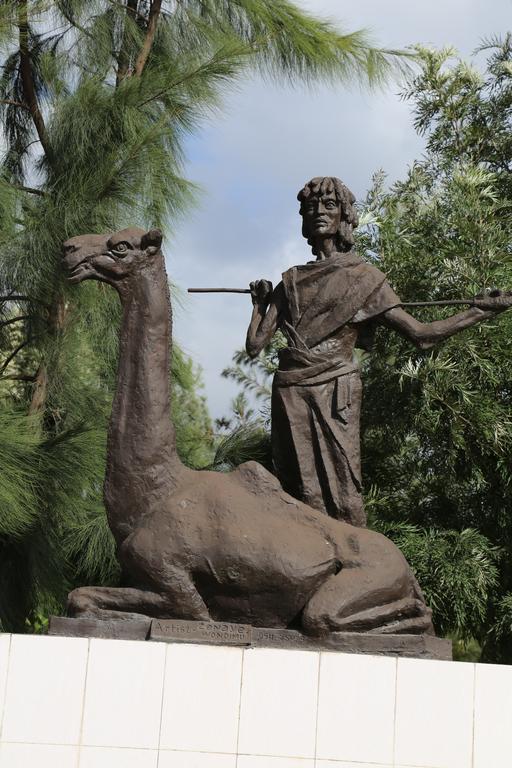 Afarensis International Hotel Addisz-Abeba Kültér fotó
